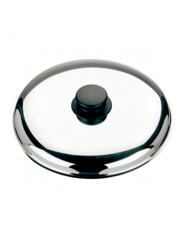 Lid for fryer with bakelite knob