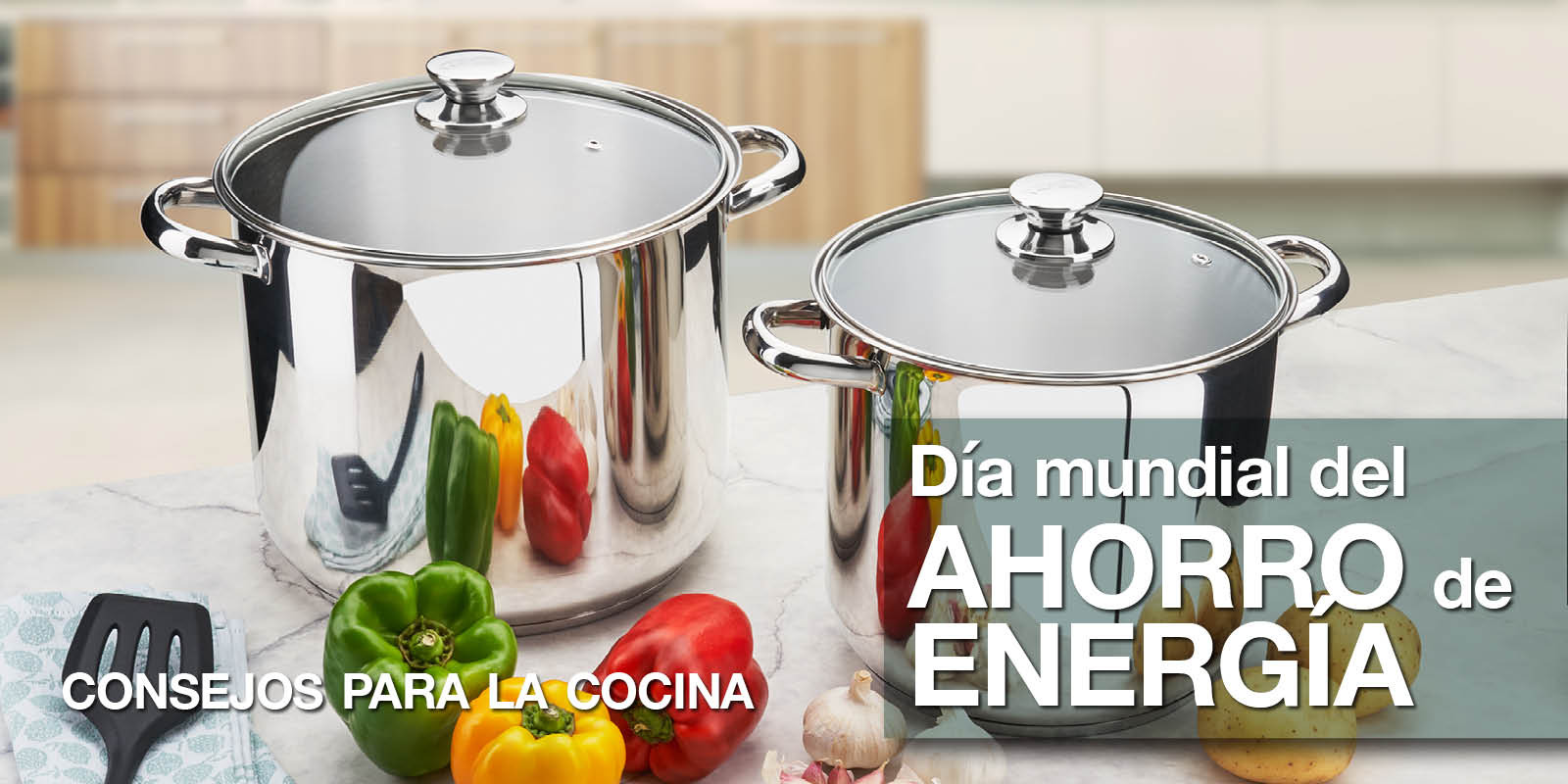¡Cocina ahorrando energía!